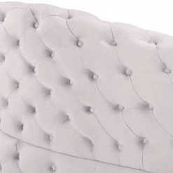 Meridian Furniture Living Room Royal Velvet 2 Piece Sectional