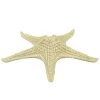 Sagebrook Resin 3"H Starfish Figurine, Champagne Home Decor