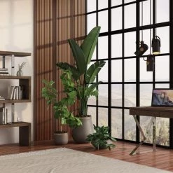 VIG Modrest Ferris Modern Walnut Office Desk