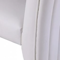 Meridian Furniture Porsha Faux Leather Dining Chair Set Of 2