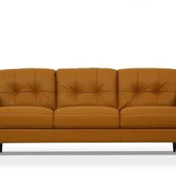 ACME Living Room Radwan Sofa