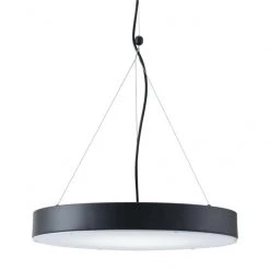 Zuo Mod Home Decor Apricot Ceiling Lamp Matte Black