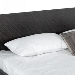 VIG Modrest Gaige - Modern Grey Elm Bed