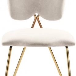 Meridian Furniture Accent Chairs Angel Velvet Dining Chair (Set Of 2)