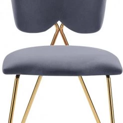 Meridian Furniture Accent Chairs Angel Velvet Dining Chair (Set Of 2)