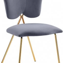 Meridian Furniture Accent Chairs Angel Velvet Dining Chair (Set Of 2)