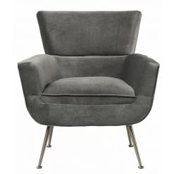ACME Dones Wingback Velvet Accent Chair