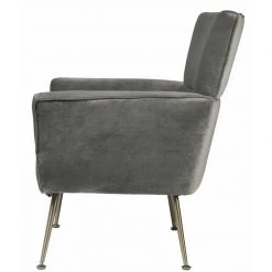ACME Dones Wingback Velvet Accent Chair