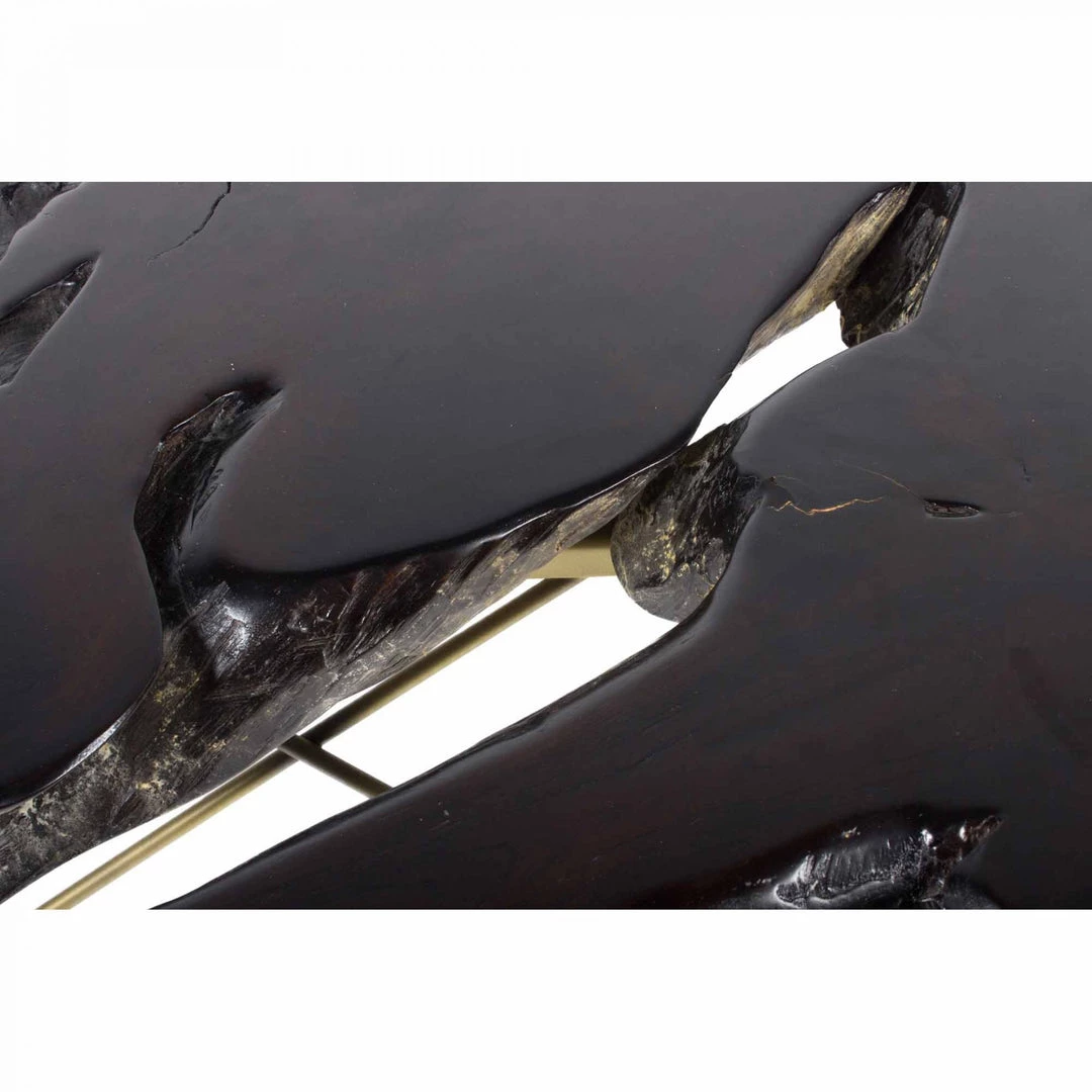 Moe's Tectona Coffee Table Dark Brown Living Room