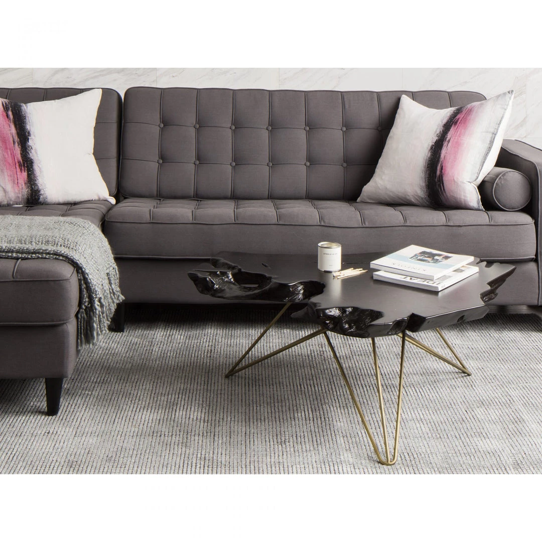 Moe's Tectona Coffee Table Dark Brown Living Room