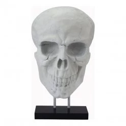 Moe's Braincase Skull Statue