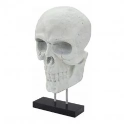 Moe's Braincase Skull Statue