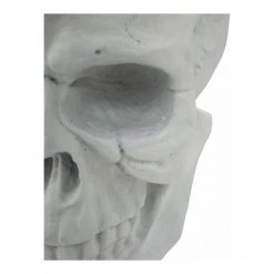 Moe's Braincase Skull Statue
