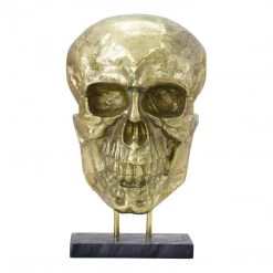 Moe's Braincase Skull Statue