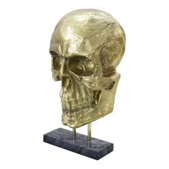Moe's Braincase Skull Statue