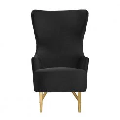 TOV Julia Wingback Accent Chair Living Room