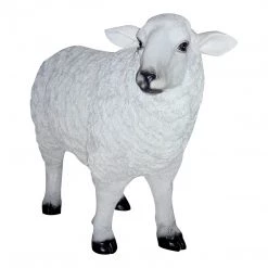 Moe's Baa Baa Sheep Statue Home Decor
