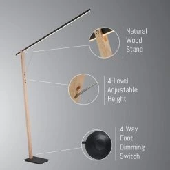 Lite Source Kylar Floor Lamp
