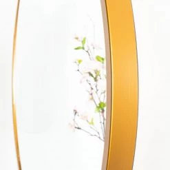 Safavieh Eason Mirror Home Decor