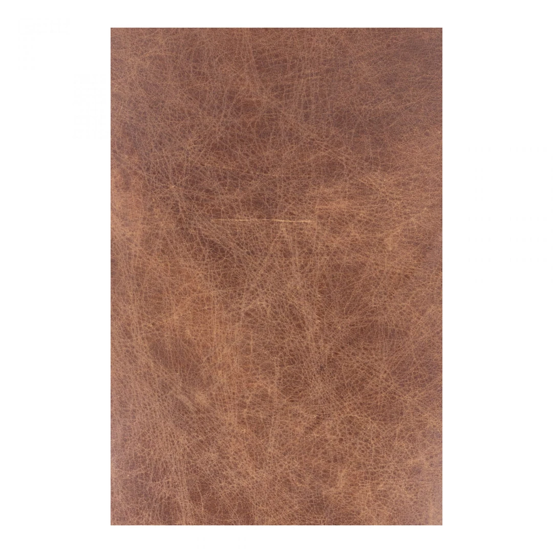 Moe's Living Room Carlisle Club Chair Light Brown