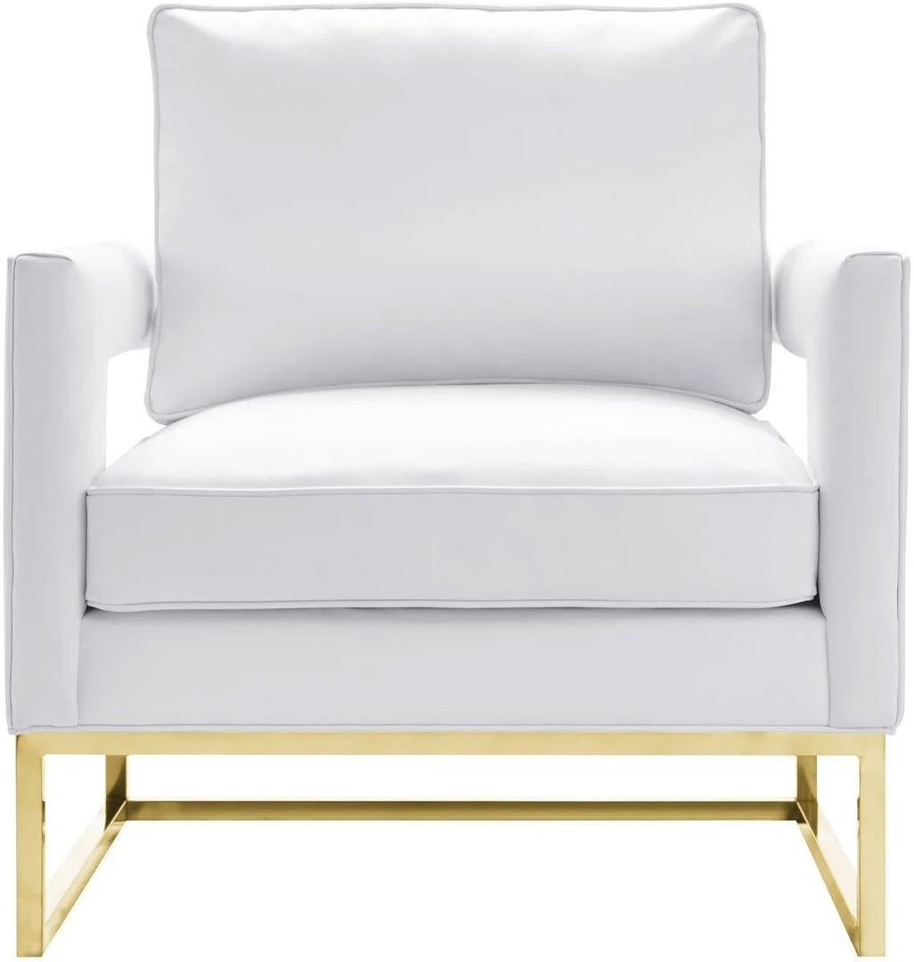 TOV Living Room Avery Velvet Accent Chair With Gold Legs