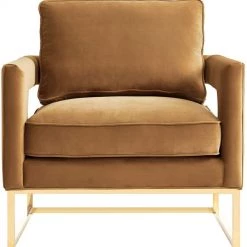 TOV Living Room Avery Velvet Accent Chair With Gold Legs