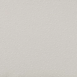 TOV Baxter Ostrich Print Chair In Cream