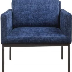 TOV Canton Velvet Chair Living Room
