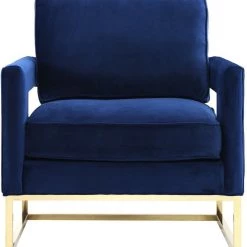 TOV Living Room Avery Velvet Accent Chair With Gold Legs