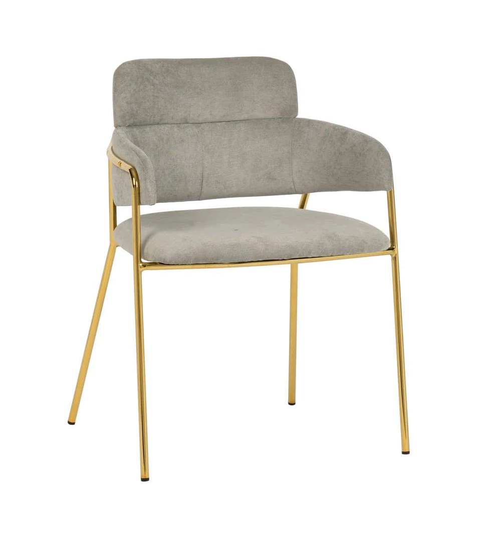 TOV Dining Room Karl Grey Velvet Chair - Set Of 2