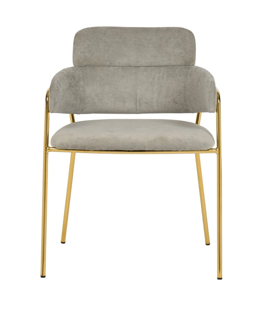 TOV Dining Room Karl Grey Velvet Chair - Set Of 2