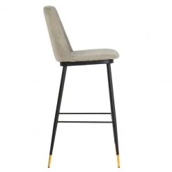 TOV Evora Velvet Counter Stool (Set Of 2)