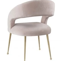 TOV Dining Room Rocco Blush Velvet Dining Chair