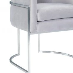 TOV Giselle Velvet Dining Chair - Silver Frame Dining Room