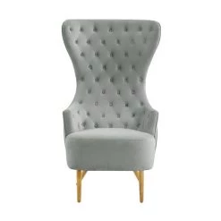 TOV Jezebel Velvet Wingback Chair