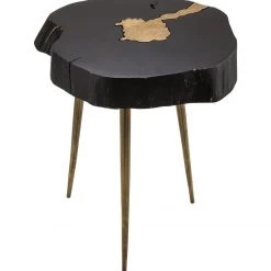 TOV Timber Black And Brass Side Table Living Room