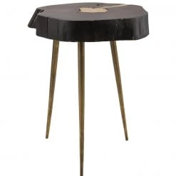 TOV Timber Black And Brass Side Table Living Room