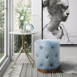 TOV Skylar Velvet Ottoman Bedroom