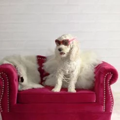 TOV Yorkshire Pet Bed