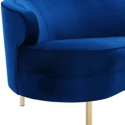 TOV Baila Velvet Sofa Living Room