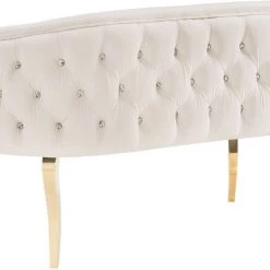 TOV Living Room Adina Velvet Loveseat With Gold Legs