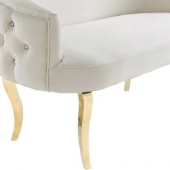 TOV Living Room Adina Velvet Loveseat With Gold Legs