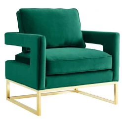 TOV Living Room Avery Velvet Accent Chair With Gold Legs