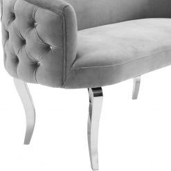TOV Adina Velvet Loveseat With Silver Legs Living Room
