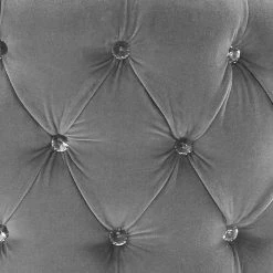 TOV Adina Velvet Loveseat With Silver Legs Living Room