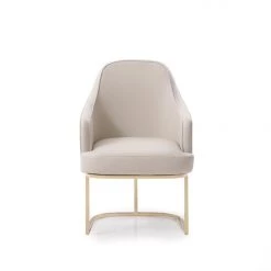 VIG Modrest Tyler Modern Grey & Gold Dining Chair