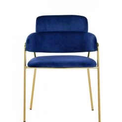VIG Modrest Tessa Modern Blue Velvet & Gold Dining Chair (Set Of 2)