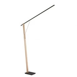 Lite Source Kylar Floor Lamp