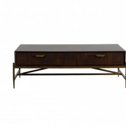 VIG Modrest Shane - Modern Acacia & Brass Coffee Table